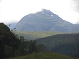Scardroy