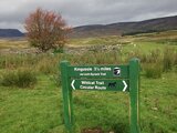 Creag an Loin - Newtonmore